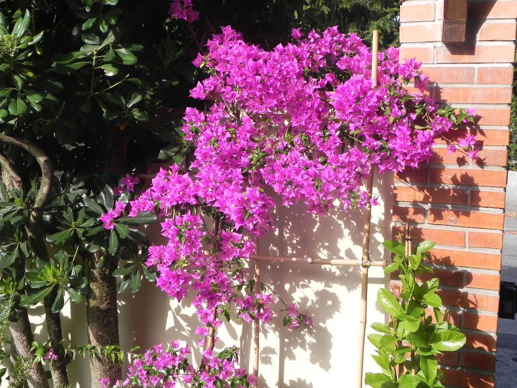 Villa Il Fortino Λίντο ντι Καμαϊόρε Εξωτερικό φωτογραφία