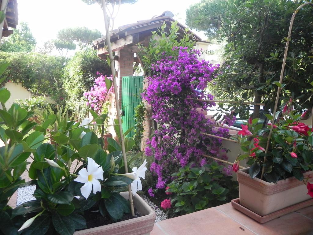 Villa Il Fortino Λίντο ντι Καμαϊόρε Εξωτερικό φωτογραφία