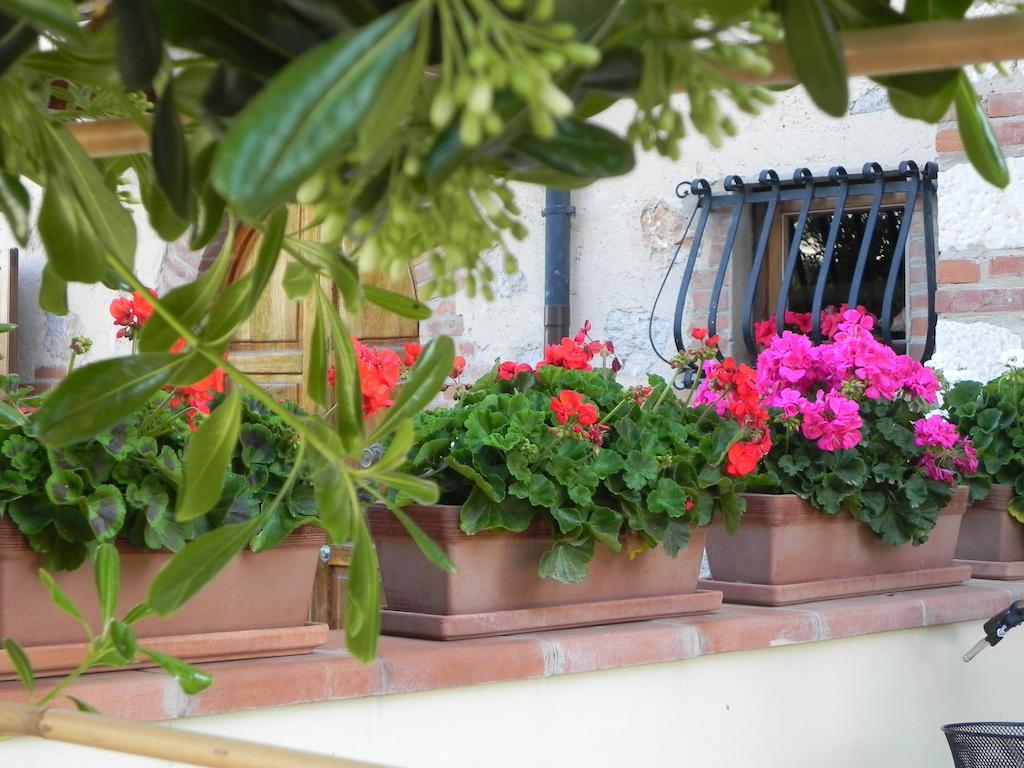 Villa Il Fortino Λίντο ντι Καμαϊόρε Εξωτερικό φωτογραφία