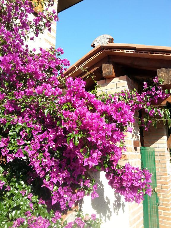 Villa Il Fortino Λίντο ντι Καμαϊόρε Εξωτερικό φωτογραφία