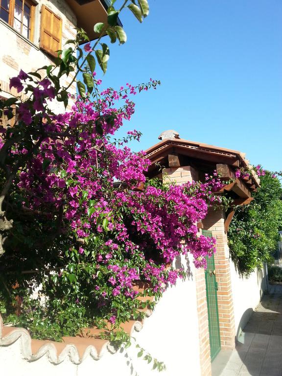 Villa Il Fortino Λίντο ντι Καμαϊόρε Εξωτερικό φωτογραφία